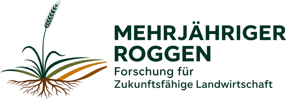 Mehrjähriger Roggen — Forschung für Zukunftsfähige Landwirtschaft